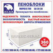 Пеноблоки 50х20х30